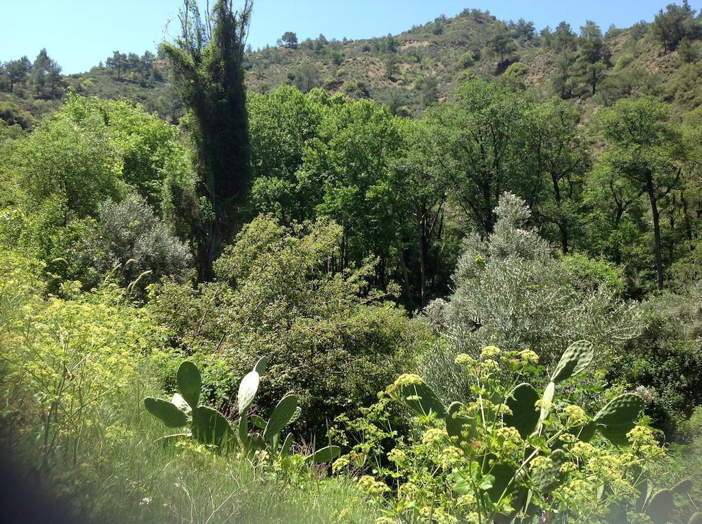 Ta Spitakia Tis Theodosias Kalopanagiotis Exterior foto